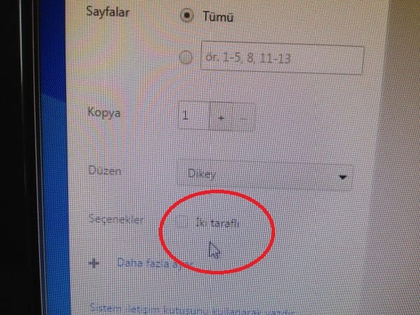 [Resim: IMG_2032_600x450.jpg]