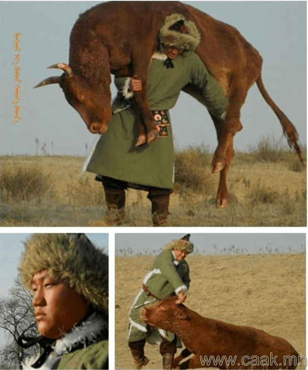 [Resim: 17862863_721228254718467_3867397321886052065_n.png]