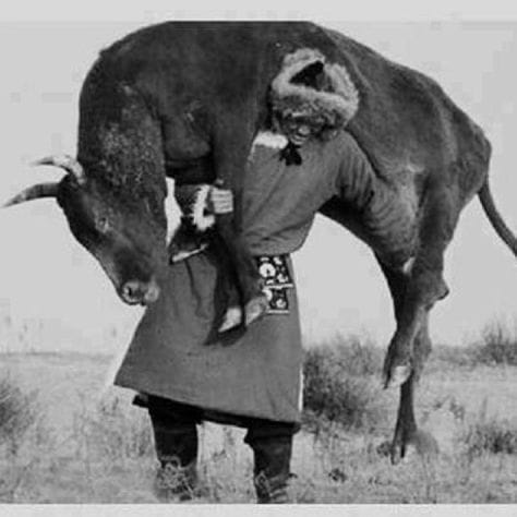 [Resim: baluhan-solak.jpg]